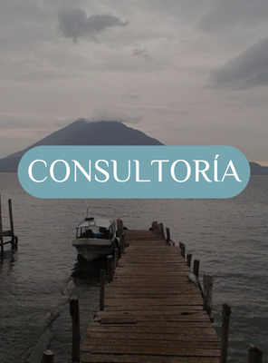 consultorÍa